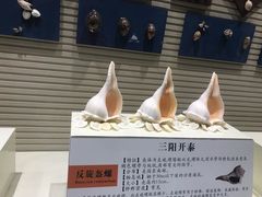 -石林冰雪海洋世界