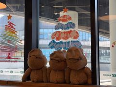 -MT麦如麦立送(五矿live店)
