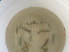 -上海浦江郊野公园-5号停车场