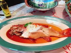 东星斑-百富源·海鲜辽菜(和平北大街店)