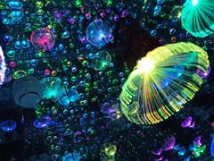 -梵高星空艺术馆(北京旗舰店)