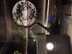 -大拙里·精致融合菜(沙湖桃源国际店)