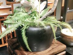 -呷哺呷哺(王府井喜悦店)