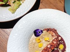 章鱼焦糖苹果泥萨别拉维红酒汁-格鲁·秀色Georgia’s Feast