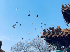 -鹿禾园(钟楼店)