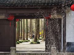 -上海醉白池公园