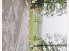 -黄海国家森林公园