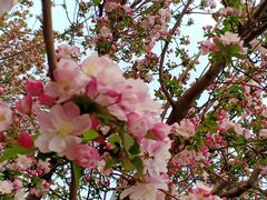 -元大都城垣遗址公园