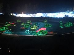 -鼎盛王朝康熙大典实景演出