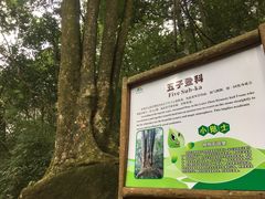 -广州市石门国家森林公园