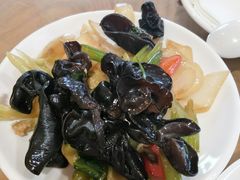 -兴芮温泉度假区