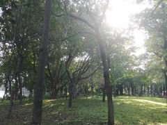 -海珠湖公园