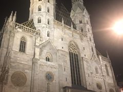 -斯蒂芬主教座堂(Stephansdom)