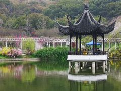 -苏州上方山国家森林公园
