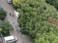 -裕和堂中医推拿艾灸(太古汇臻品店)