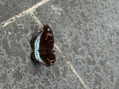 -羚羊峡古栈道森林公园