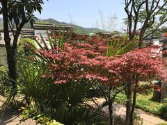 -潜口民宅博物馆