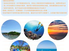 -亚龙湾热带天堂森林公园