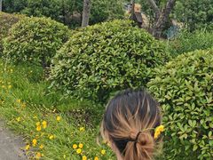 -嬉乐湾休闲旅游区