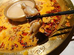 -哥老官重庆美蛙鱼头(宝山龙湖店)