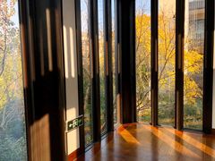 -上海崇明金茂凯悦酒店