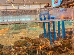 -半岛听涛蒸汽海鲜自助(K11店)