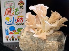 -名善山珍·野生菌汤锅(文殊院店)