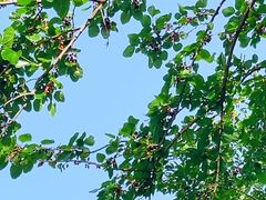 -白鹭湾湿地公园