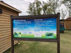 -上海长兴岛郊野公园