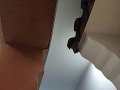 -浙江越秀外国语学院