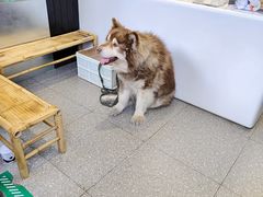 -协和菜馆(凤凰街店)