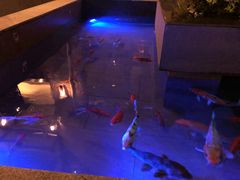 -辉哥火锅(虹桥路店)