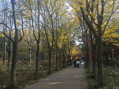 -洛阳市隋唐城遗址植物园