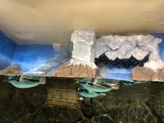 -成都浩海立方海洋公园