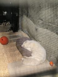 -酷嗒动物文化乐园(cutezoo西溪乐天城店)