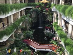 -白天鹅宾馆-宏图府餐厅