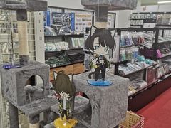 -Animate(秋叶原本馆)