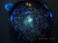 -香港科学馆