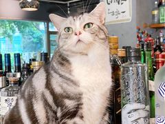 -咖法森林·咖啡  酒吧(天河店)