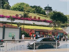 -三峡古玩城(泰古广场店)