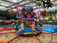 -南宫五洲植物乐园