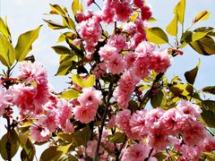 -长白岛森林公园