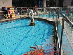 -陕西自然博物馆