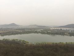 -羊山湖公园