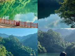 -佛山市三水区大南山森林公园