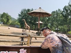 -大连森林动物园