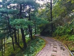 -苍山感通索道