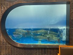 -渔惑·中山脆肉鲩火锅(仁恒梦店)