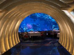 -迪拜帆船酒店海底餐厅