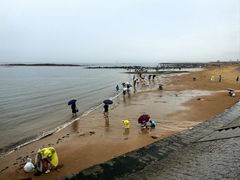 -日照灯塔风景区